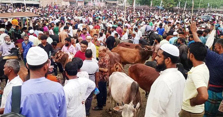 মুক্তাগাছা নতুন বাজার গরুর হাট